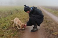 Foto Kommunikation amlandwasser mobile Hundeschule Freiburg